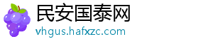 民安国泰网